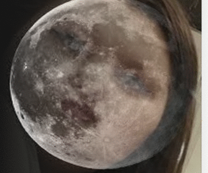 imageedit_8_7012103002.gif