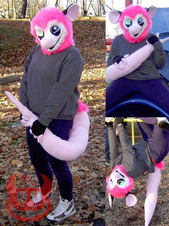 imageproxy.jpeg
