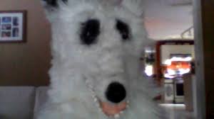 images (1).jpeg
