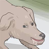 images (24).jpeg