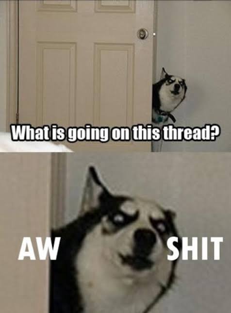 images (37).jpeg