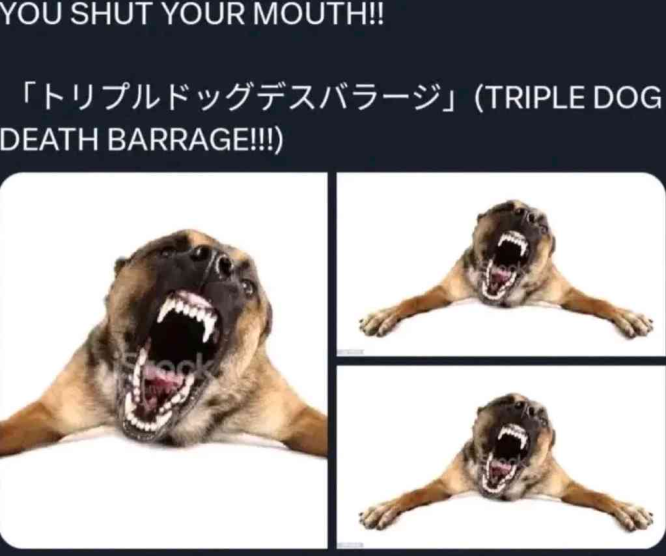 IMAGES.png