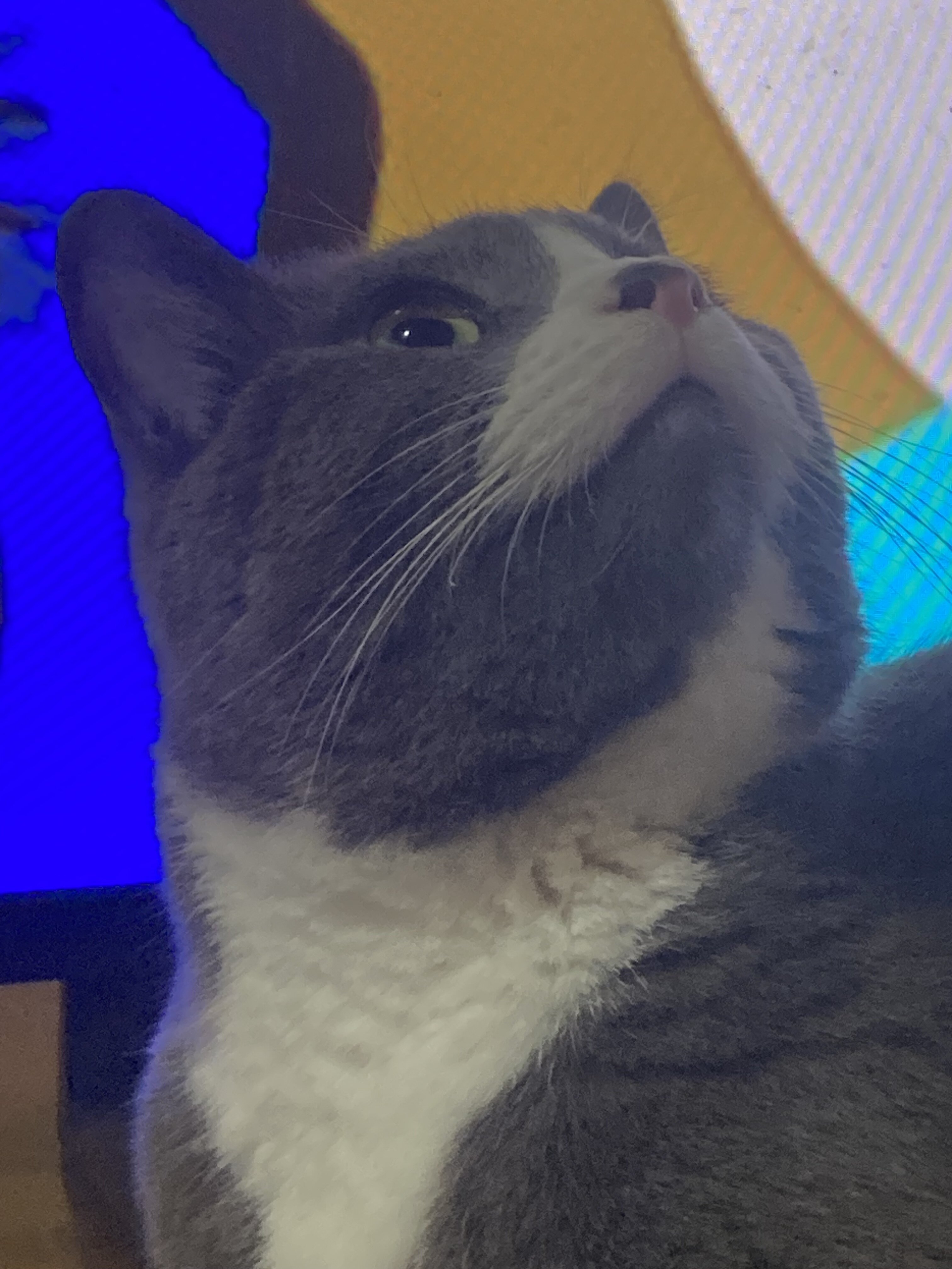IMG_0007.jpeg
