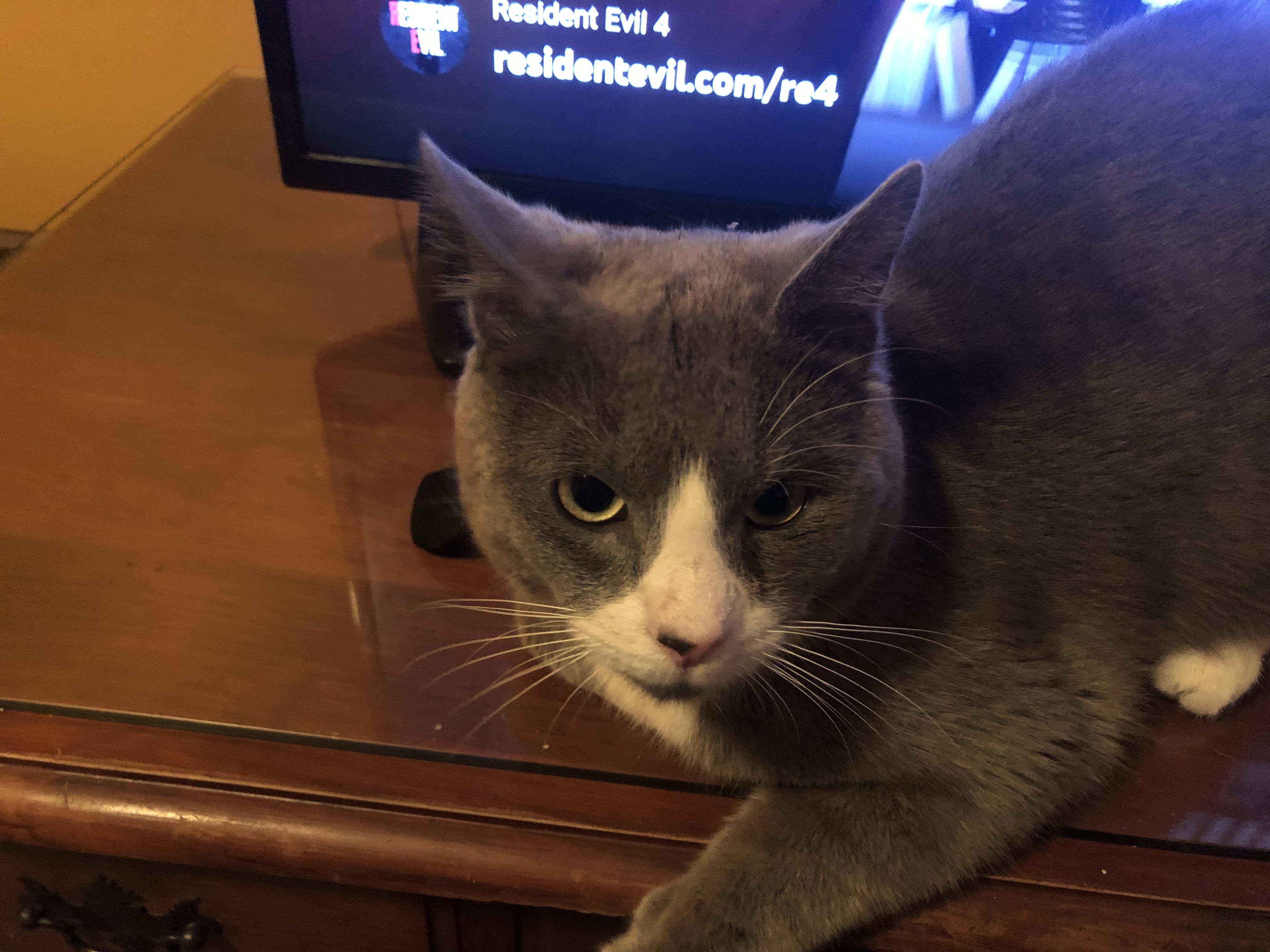 IMG_0099.jpeg