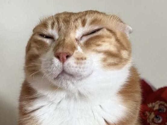 IMG_0356.jpeg