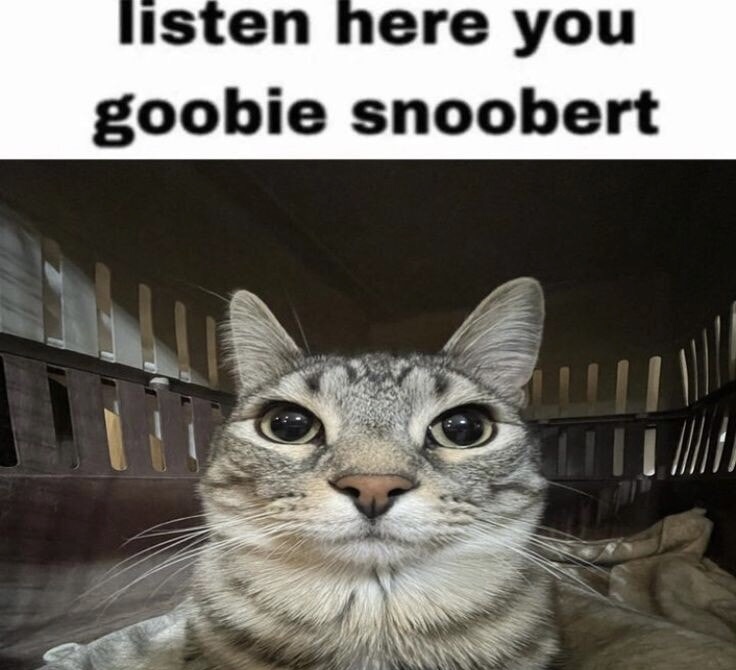 IMG_0458.jpeg