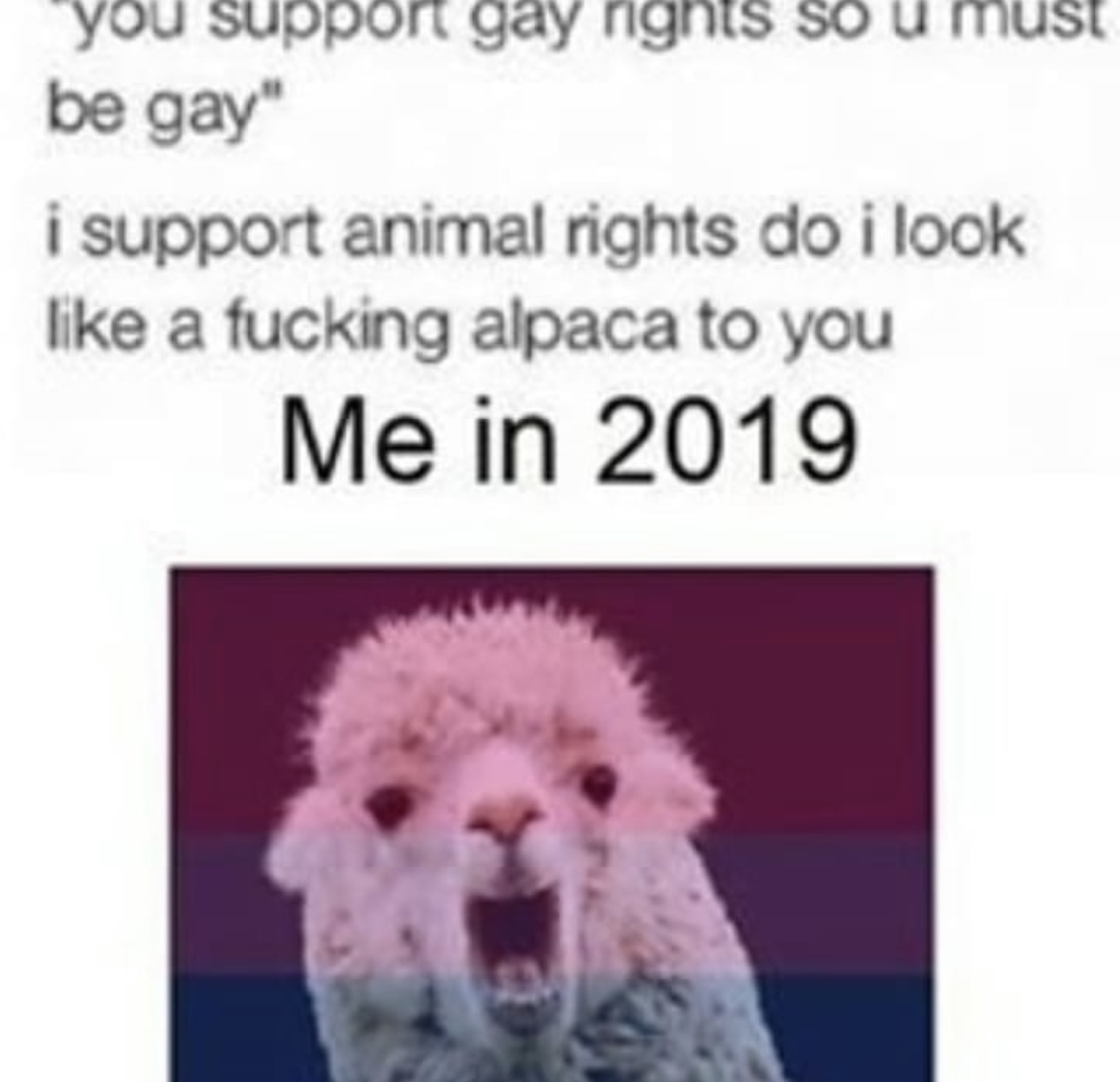 IMG_0878.jpeg
