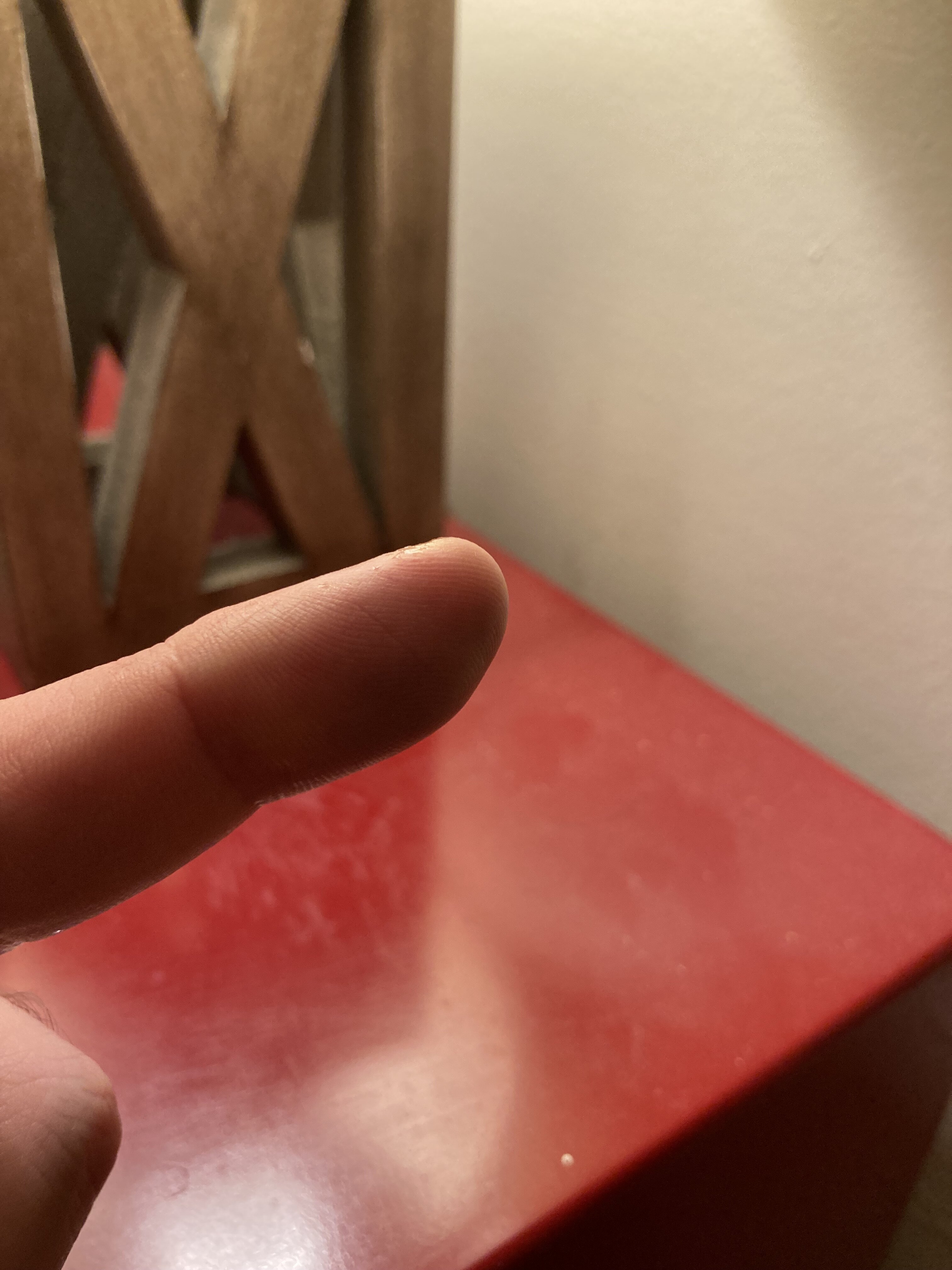 IMG_0908.jpeg