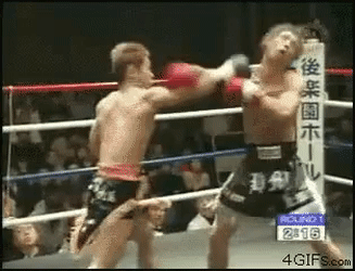 ImmensePracticalCobra-size_restricted.gif
