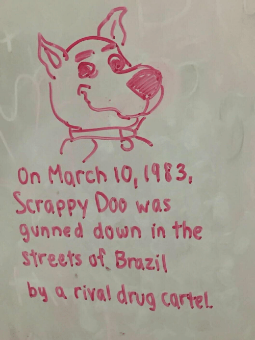 in memory of scooby loo.png