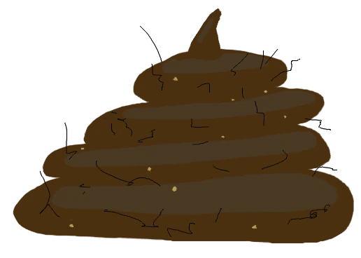 indian poop.webp