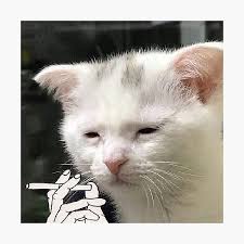 Interaction.jpg