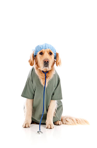 istockphoto-157677330-612x612.jpg