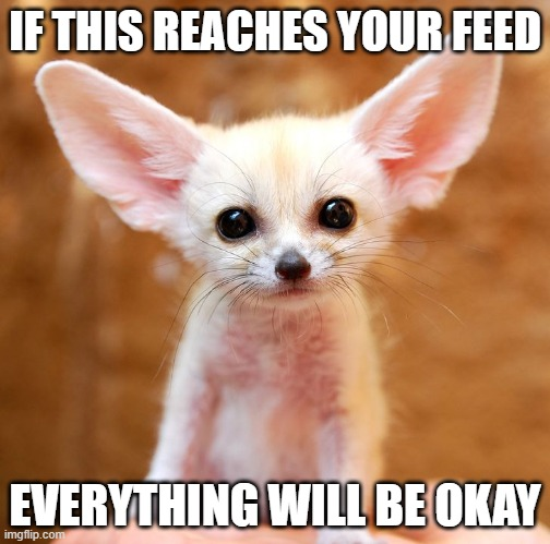 iva0nlmfeod61.png