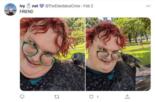 ivybird.png