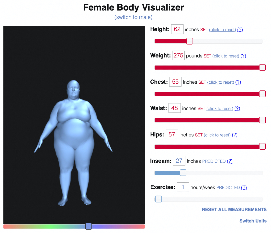 Jay Body Visualizer.jpg