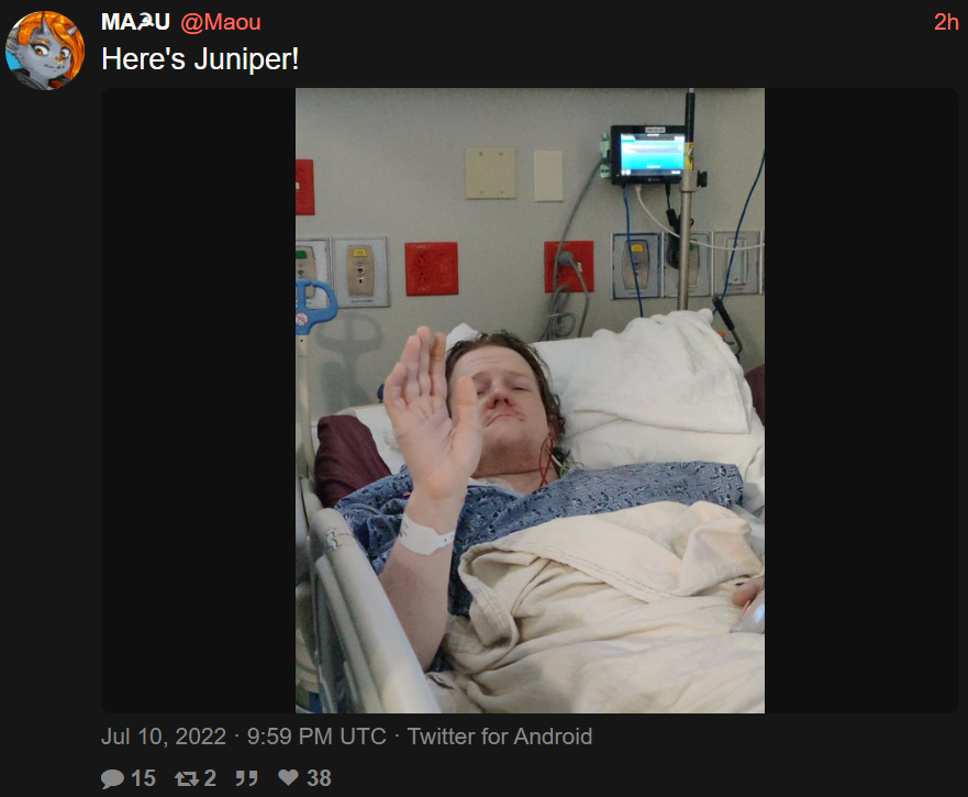 juniper3.png