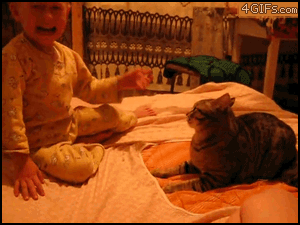 justicecat.gif