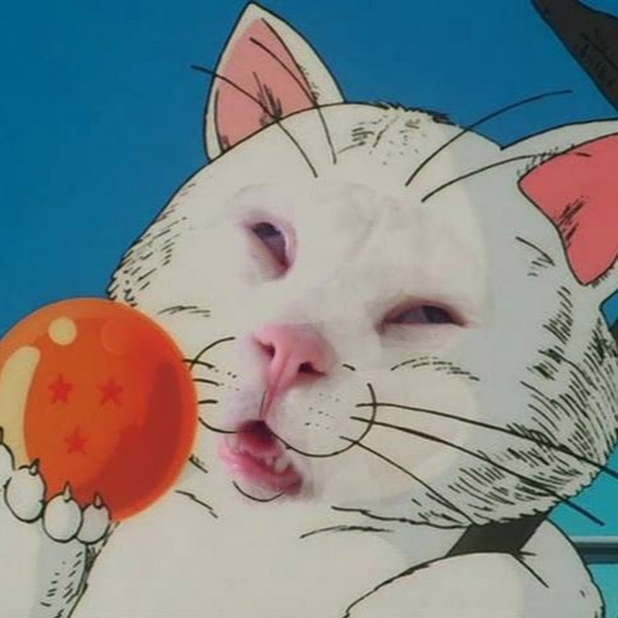 k.png