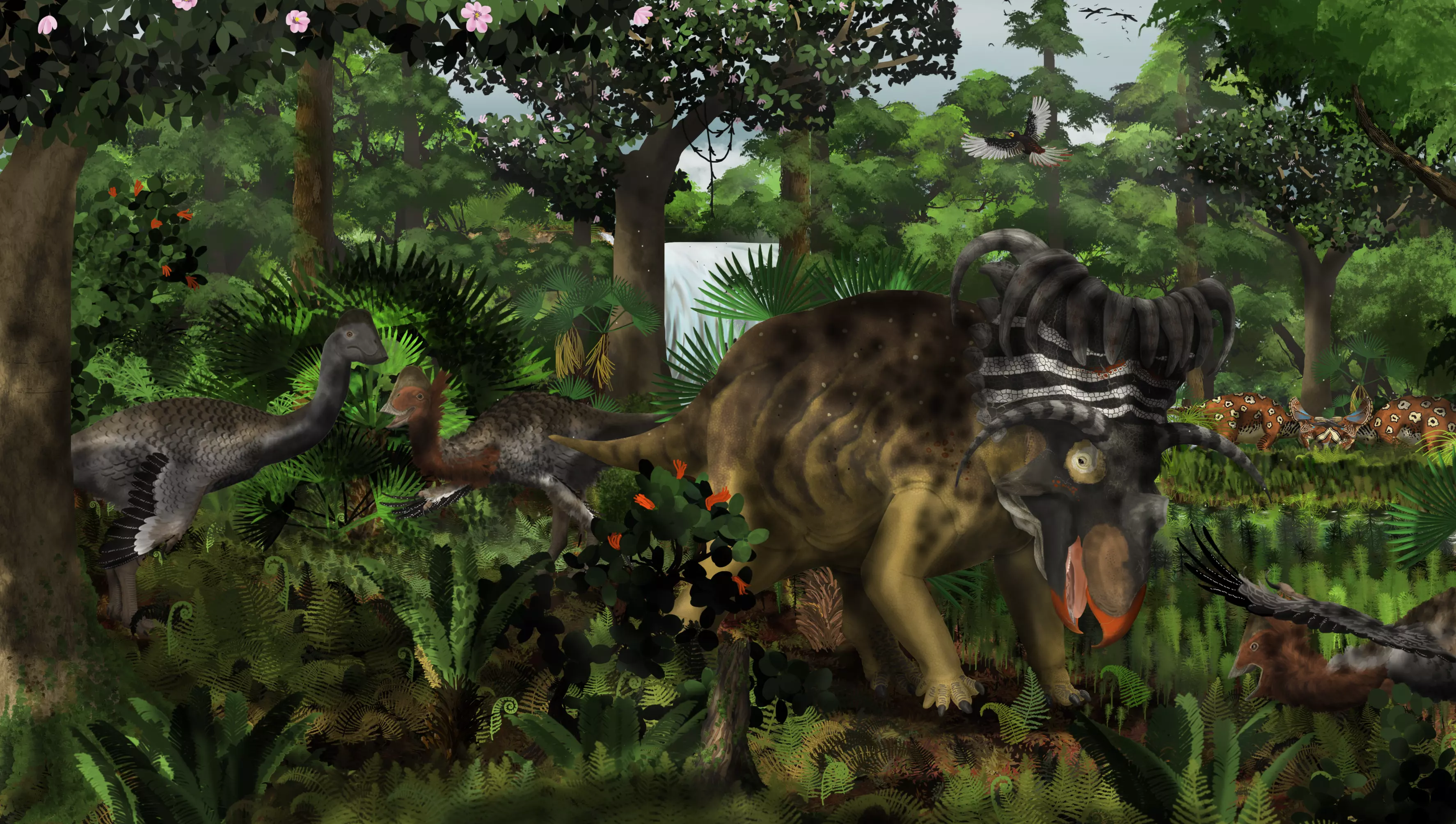 kaiparowits.webp
