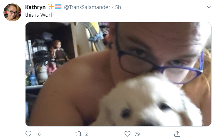 KEVIN_NO.png