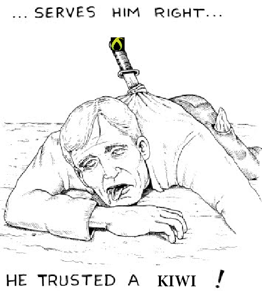 kiwi.PNG