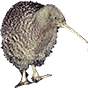 kiwi88px_trans2.png