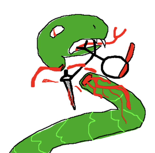 kiwidraw.png
