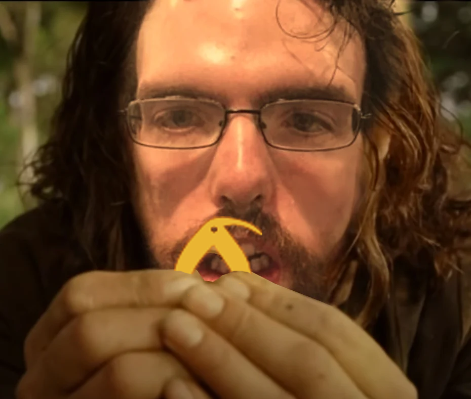 kiwiing.png