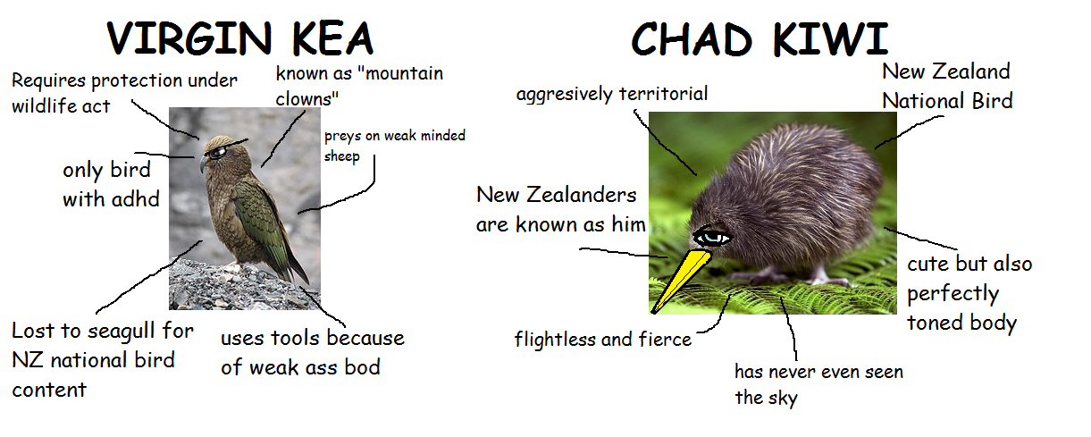 kiwikea.png