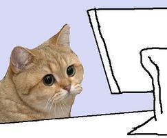 kot computer.jpeg