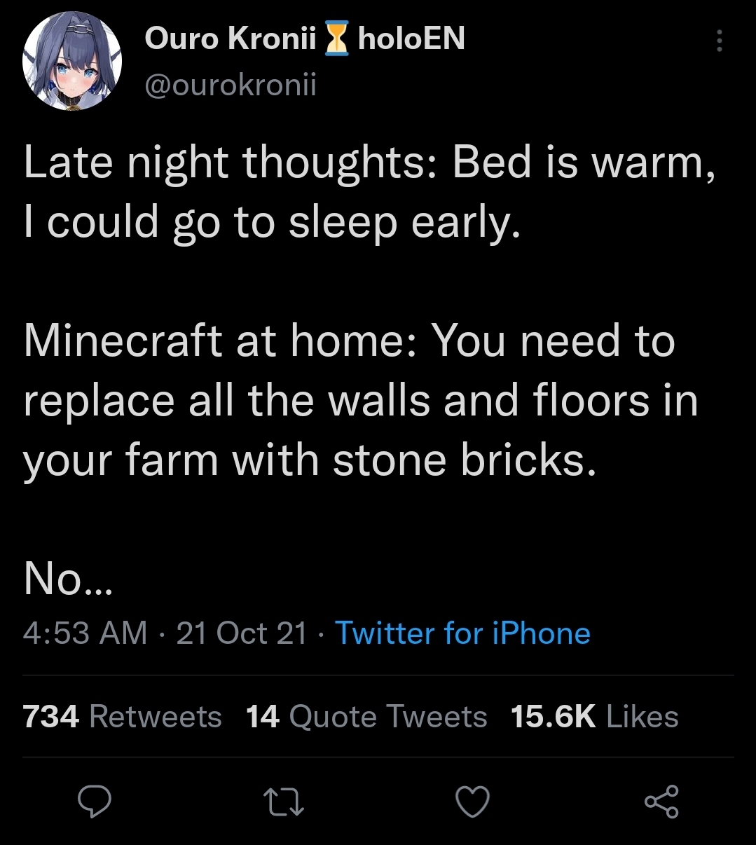 kronii doesn't have a minecraft problem.jpg