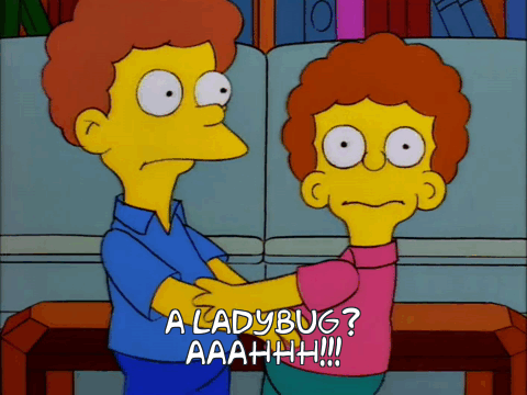 ladybug.gif