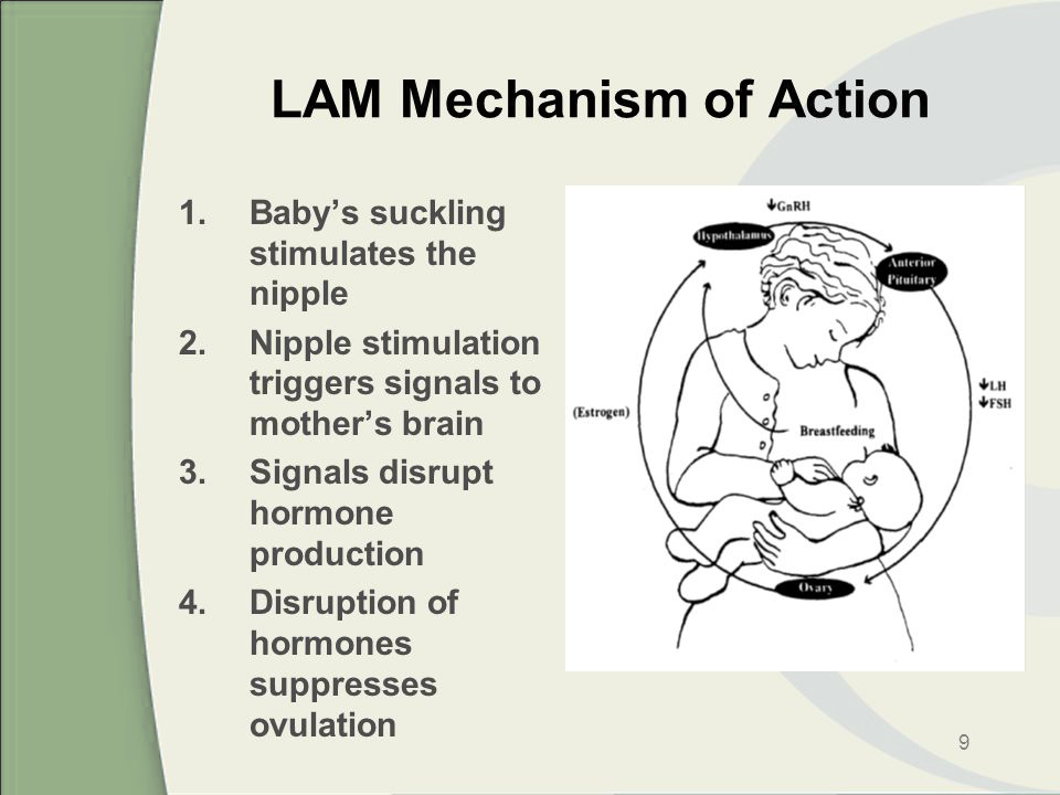 LAMMechanismofAction.jpg