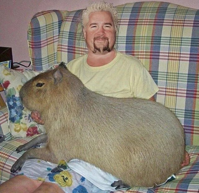 large.jpg