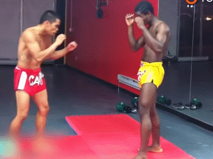 legbreak.gif