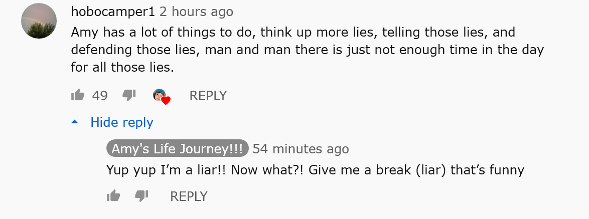 LIAR.png