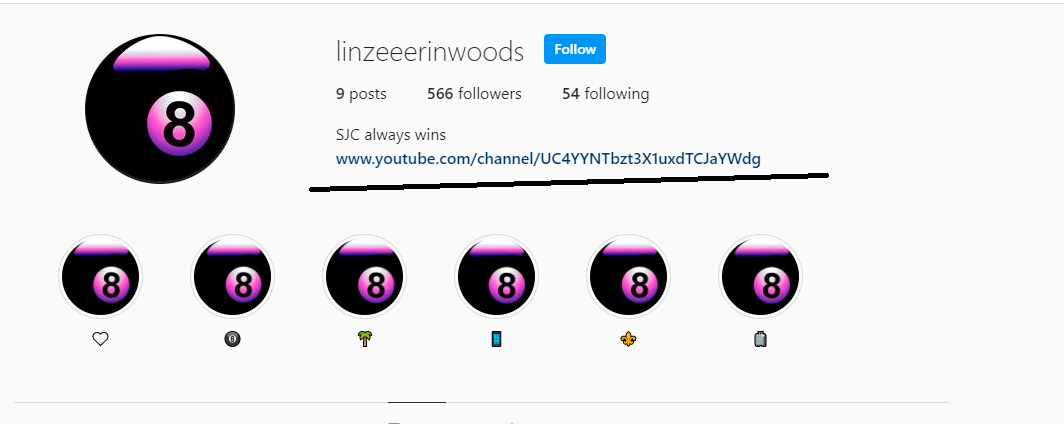 linzeehackedinsta2.png