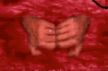 lizzyse.gif