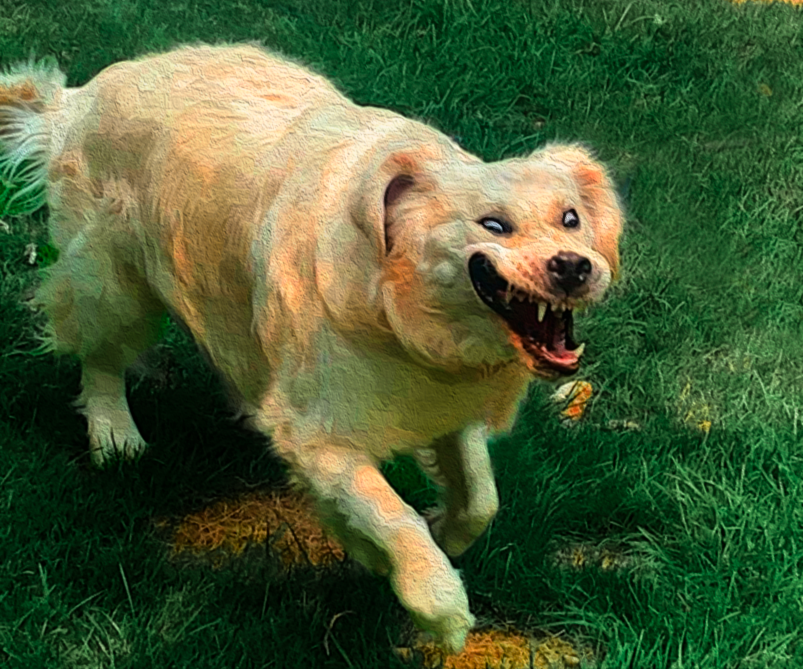 lolnull2.png