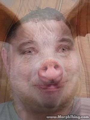 lolpig.jpeg