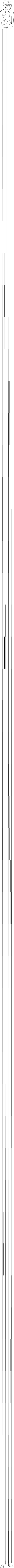 long.webp
