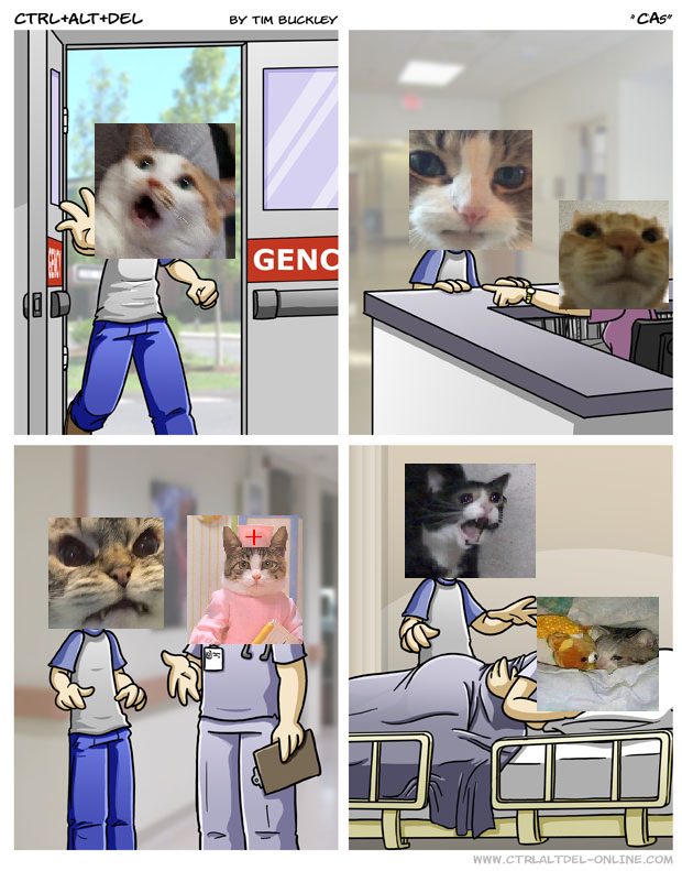 loss.png
