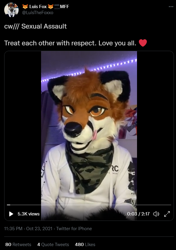luis video.png