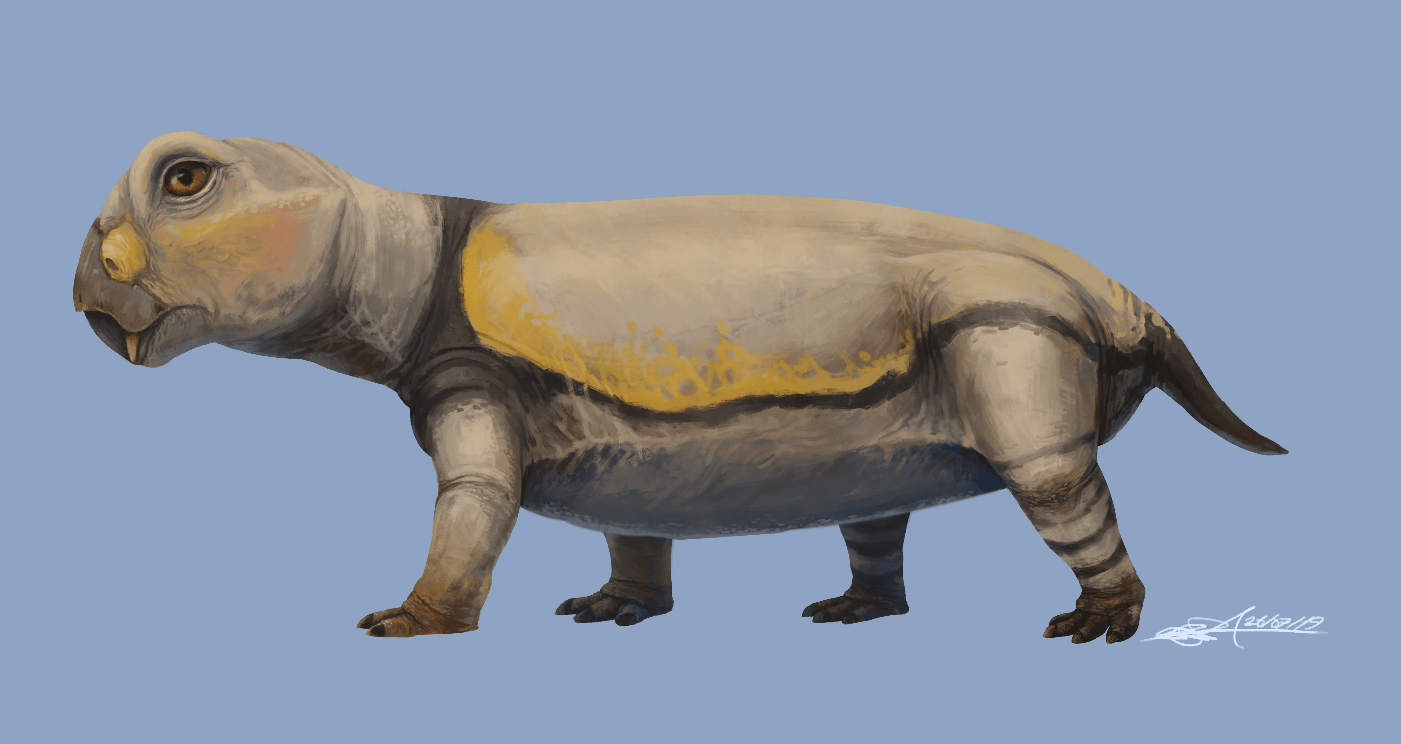 Lystrosaurus-curvatus-compressed.png