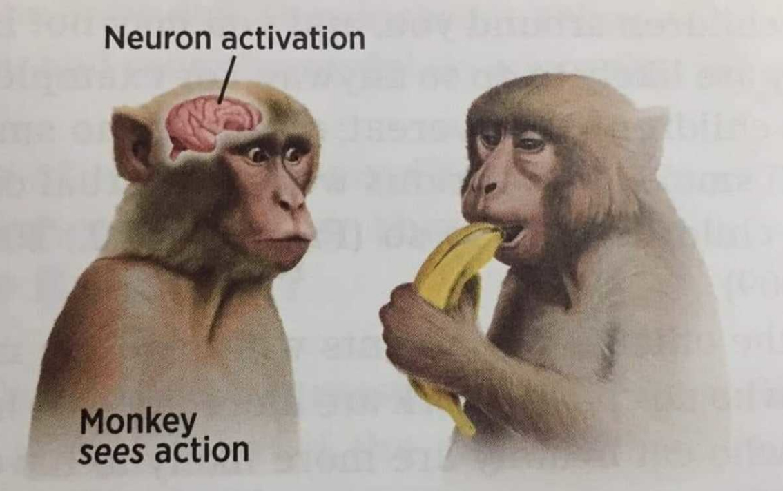 m23.png
