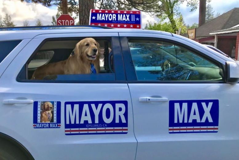 Max_doggo.jpg