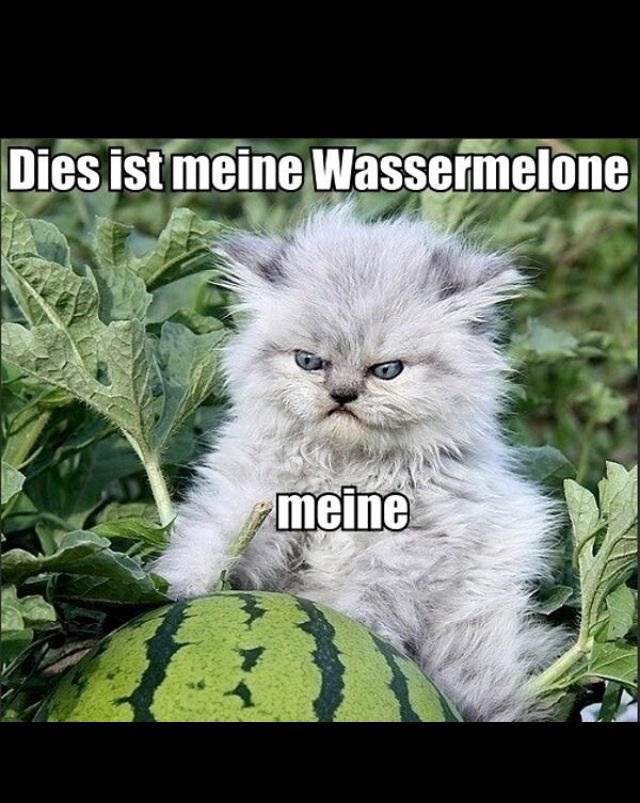 meine.jpeg
