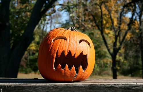 meme pumpkin01.jpg