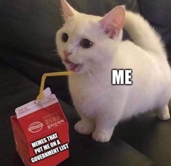 MemesThatPutMeOnAGovernmentList.png